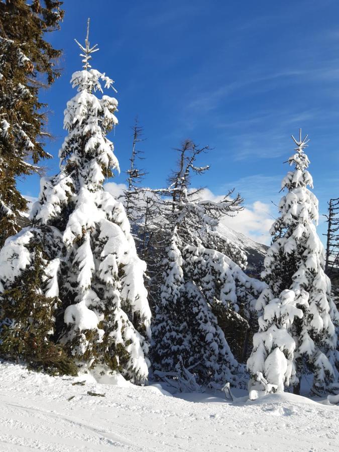 Vysoké Tatry Apartmany Fortuna מראה חיצוני תמונה